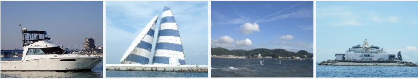 東京海洋葬(委託散骨プラン)